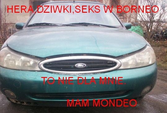 mondeo