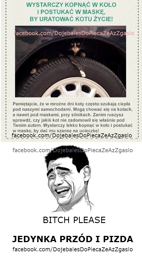 dojebalesdopieca