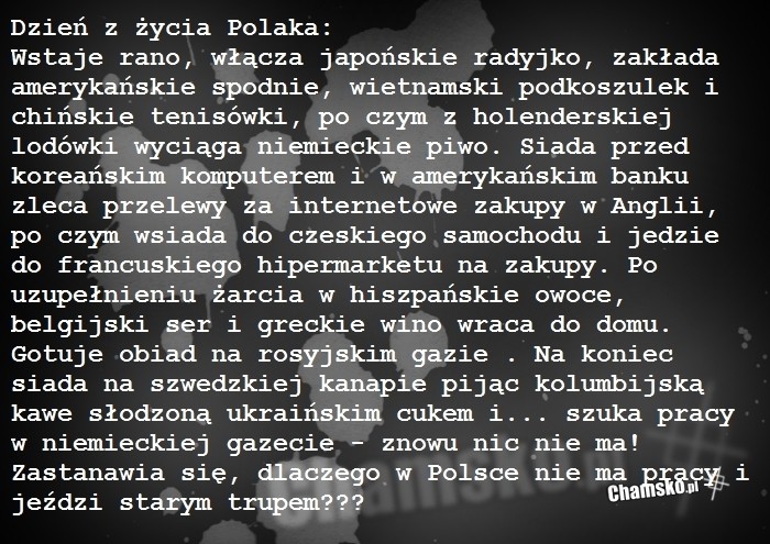 Dzie? z ?ycia Polaka