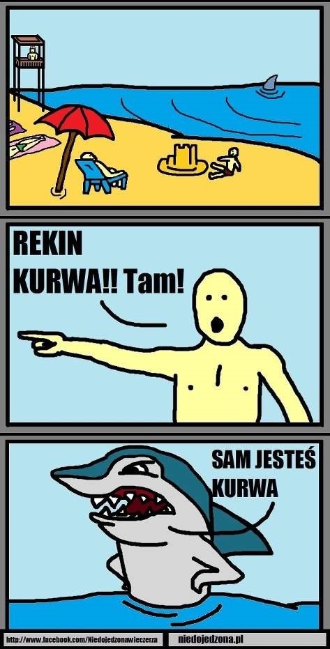 Rekin