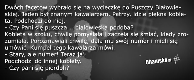 Dwóch facetów na wycieczce
