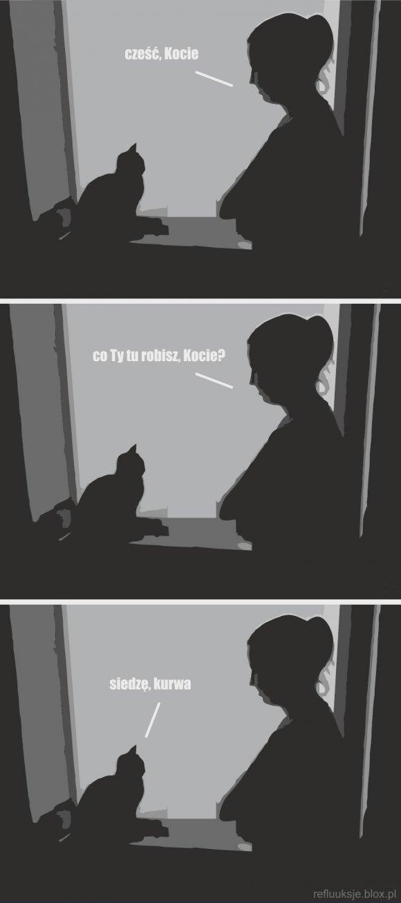 Cze?? kocie
