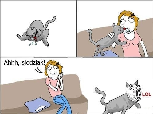 KOTEK