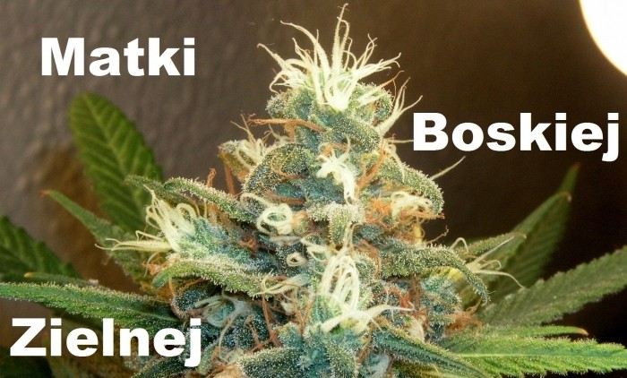 Green power