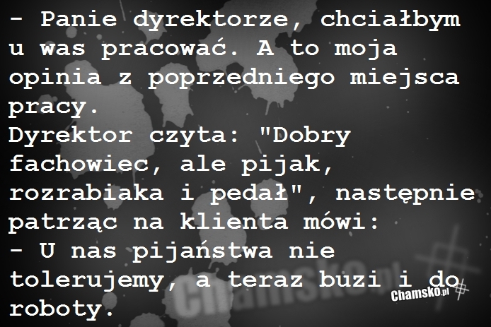 Nowa praca