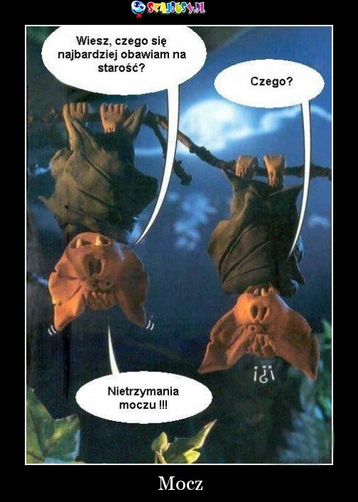 obawy na staro??