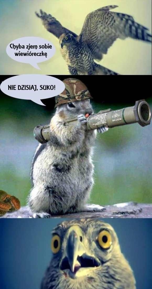 Nie tym razem!