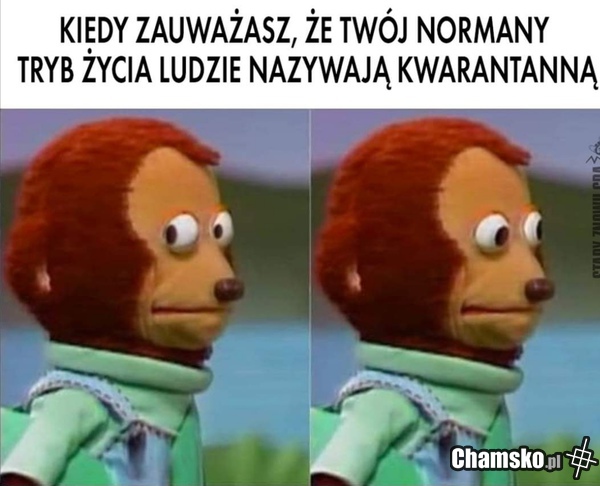 Kwarantanna