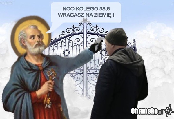 Kontrola na bramie