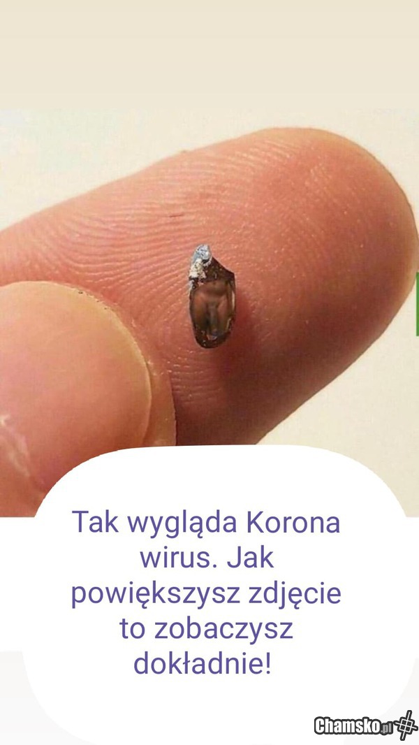 przybliż