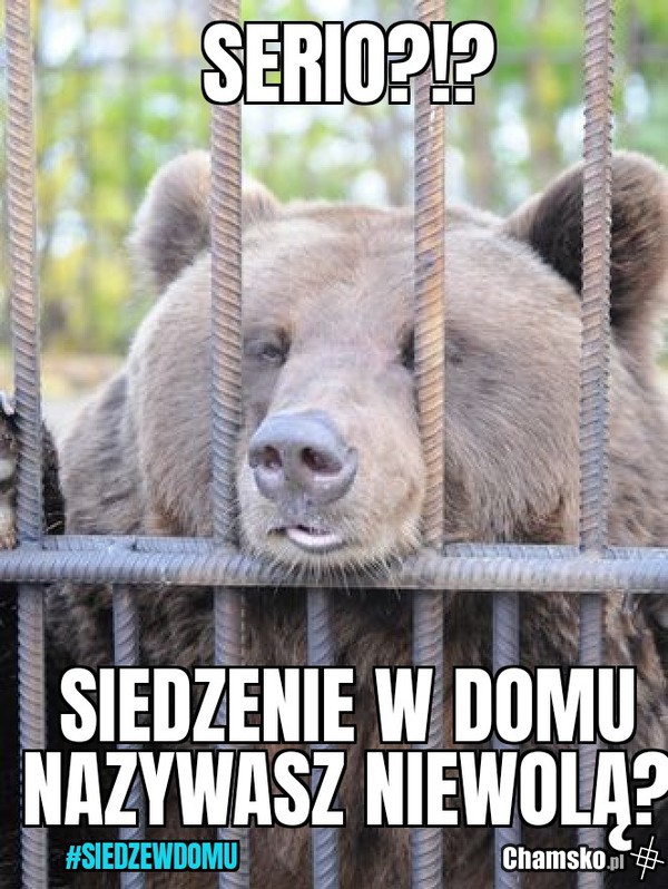 Nie wychodź - jeżeli nie musisz.
