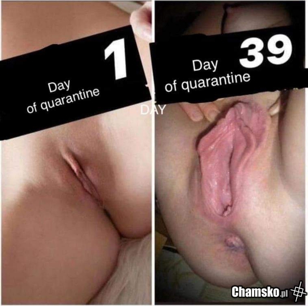 Kwarantanna... dzień 39