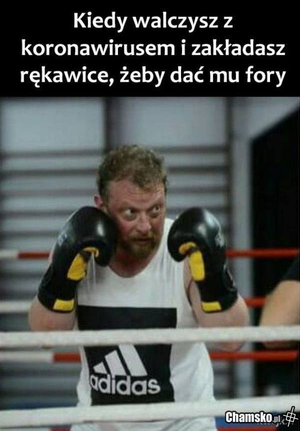 Fight