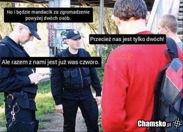 Zgromadzenie