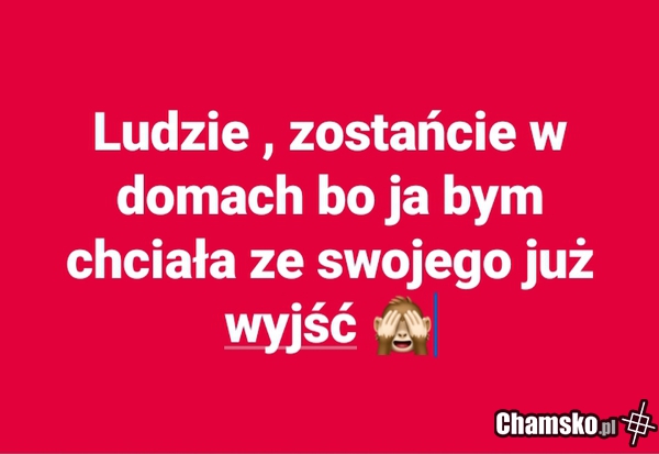 Zostań w domu