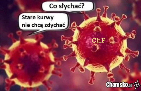 Co vidać