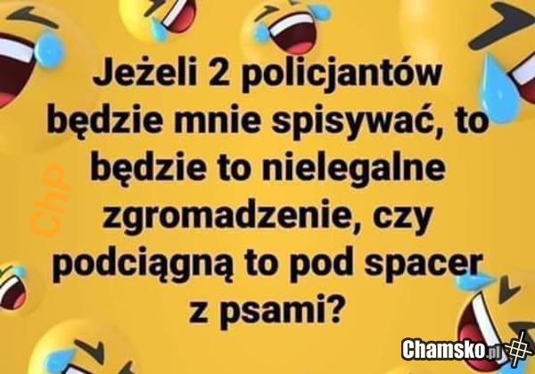Pieskie życie