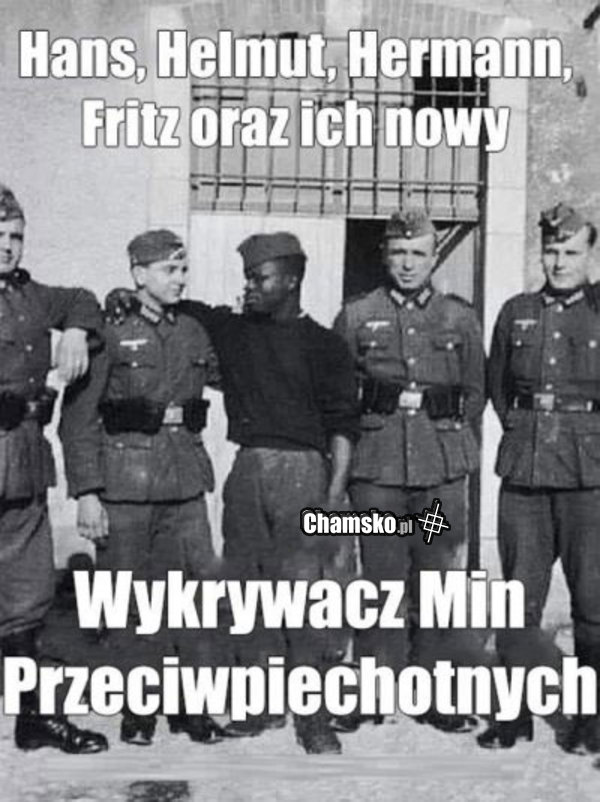 Obrazek