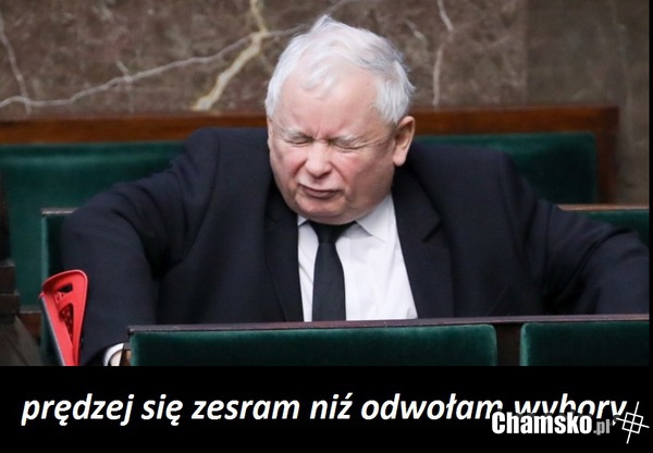 wybory 2020