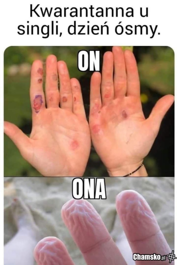 Kwarantanna dzień ósmy