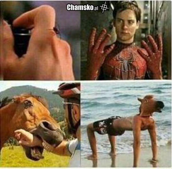 Spiderman