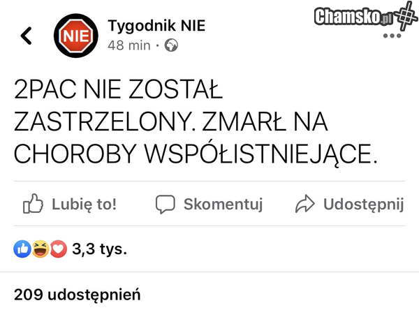 Statystyka