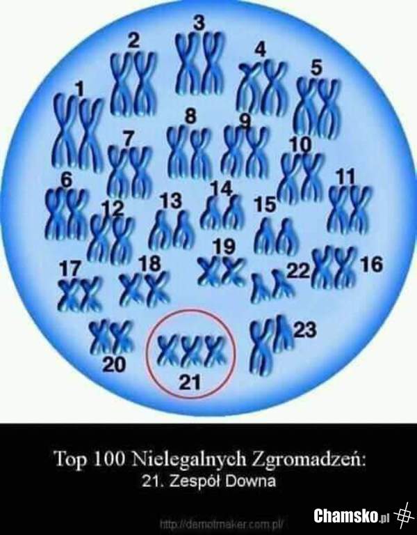 Nielegalne zgromadzenie