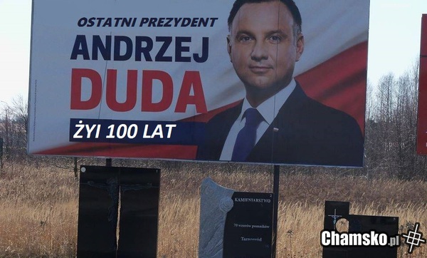 kochać pisowców