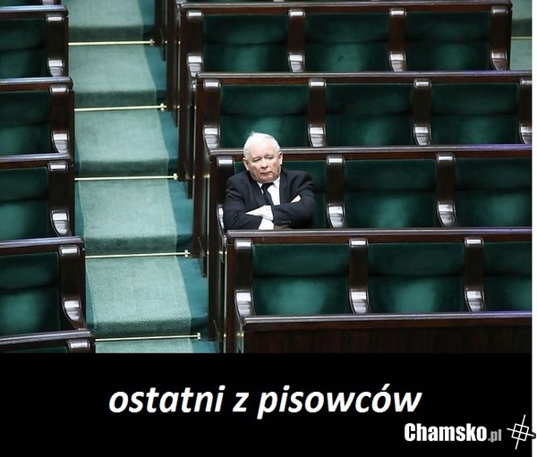 tylko jeden
