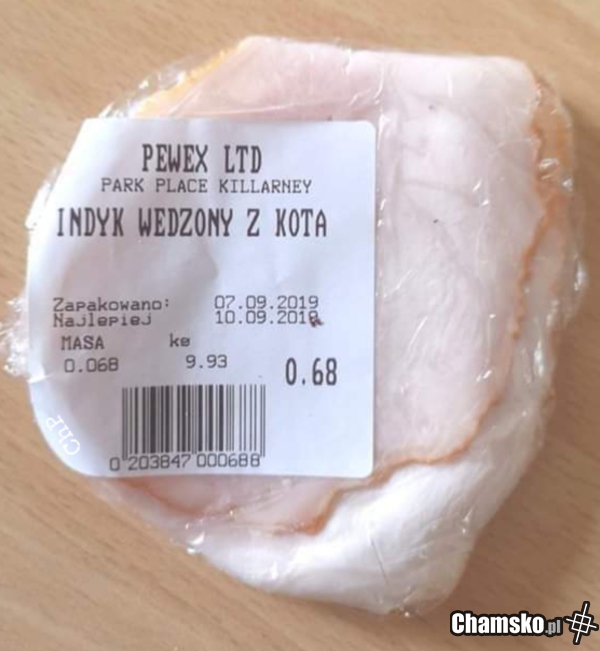 Te kocie ruchy indyka