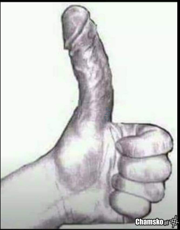 Chujowe standardy