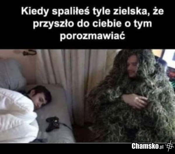 Zielsko