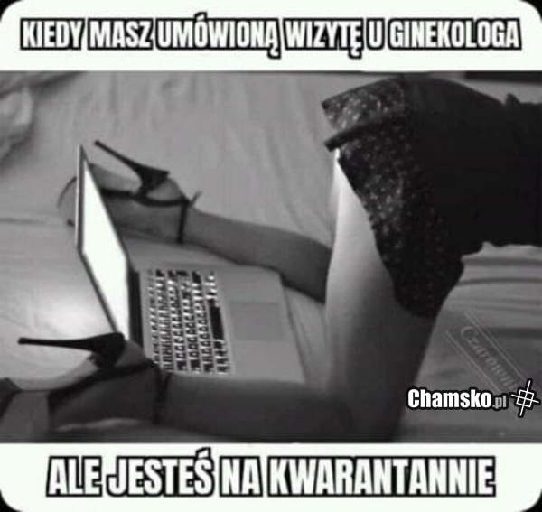 Wizyta