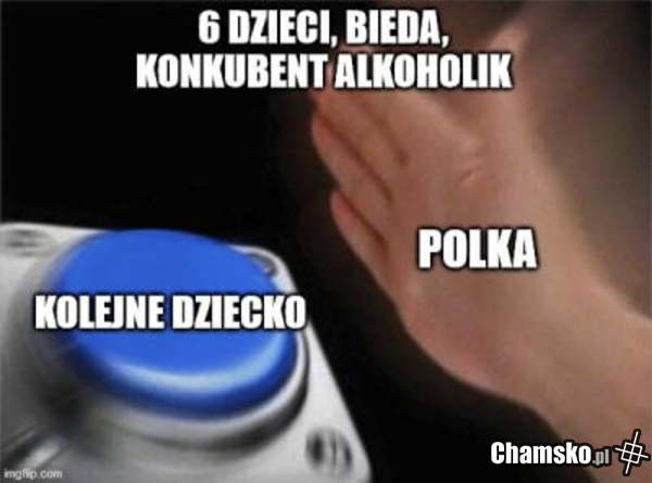 Cykl życia
