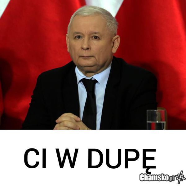 huj kurwa huj