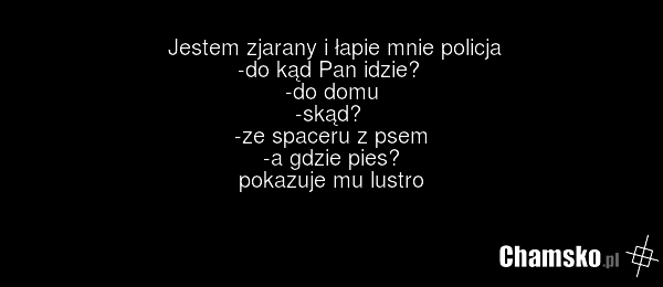 Jestem zjarany i łapie mnie policja -do kąd Pan idzie? -do domu -skąd? -ze spaceru z psem -a gdzie pies? pokazuje mu lustro