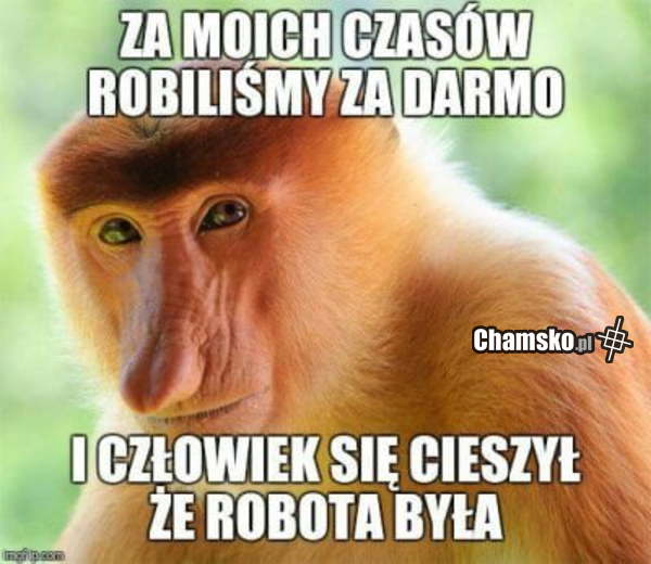 Dobre czasy