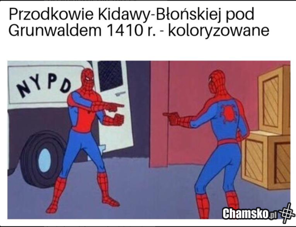 Kandydatka z Grunwaldu
