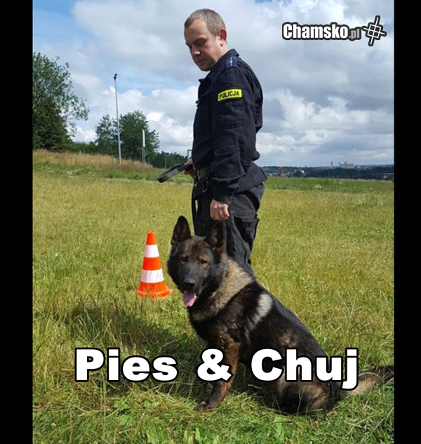 Pies & Chuj