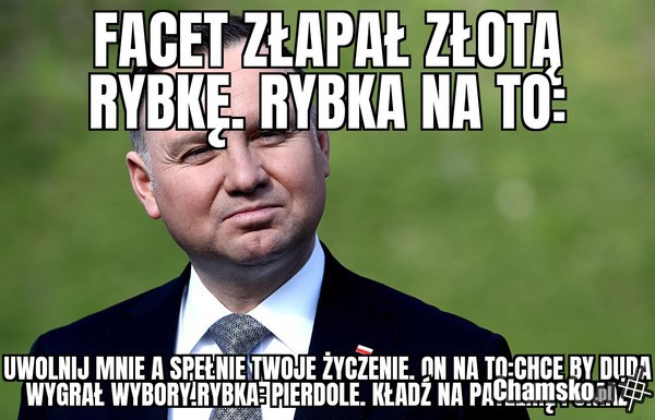 Wybory