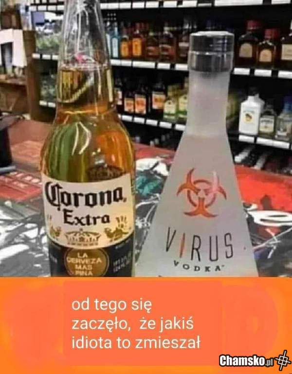 WHO już wie, skąd się wziął koronawirus