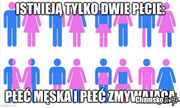 Gender