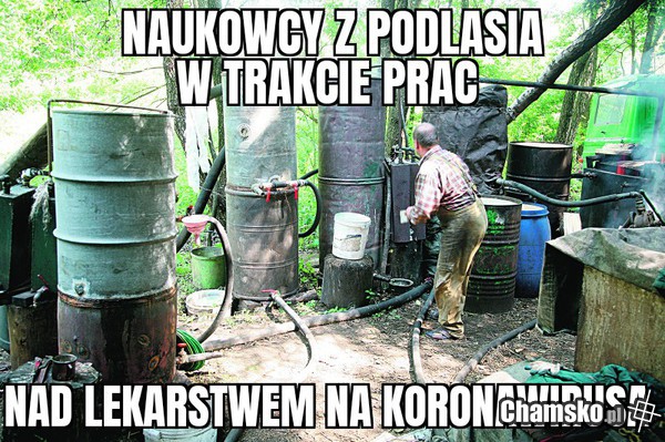 Uczeni z Podlasia