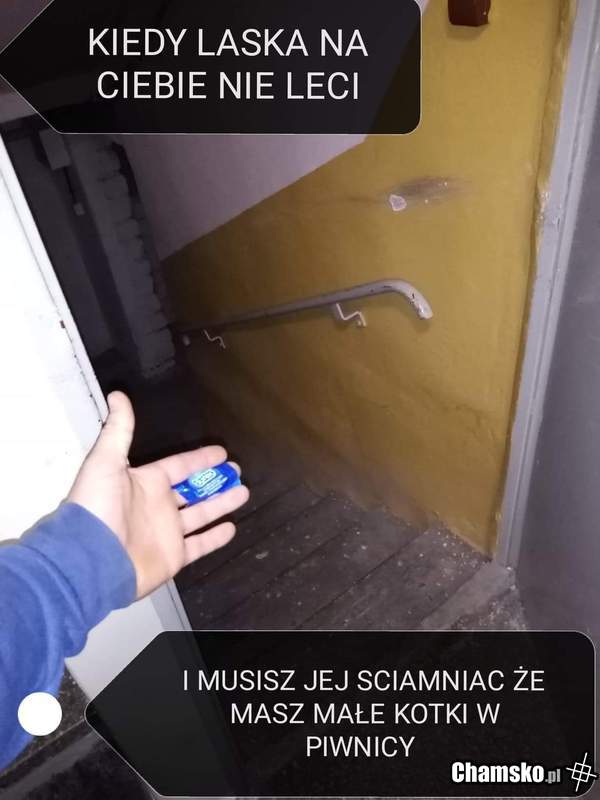 Zapraszam