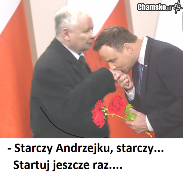 dziękuje królu