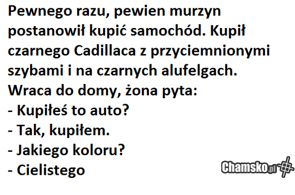 murzynek bambo