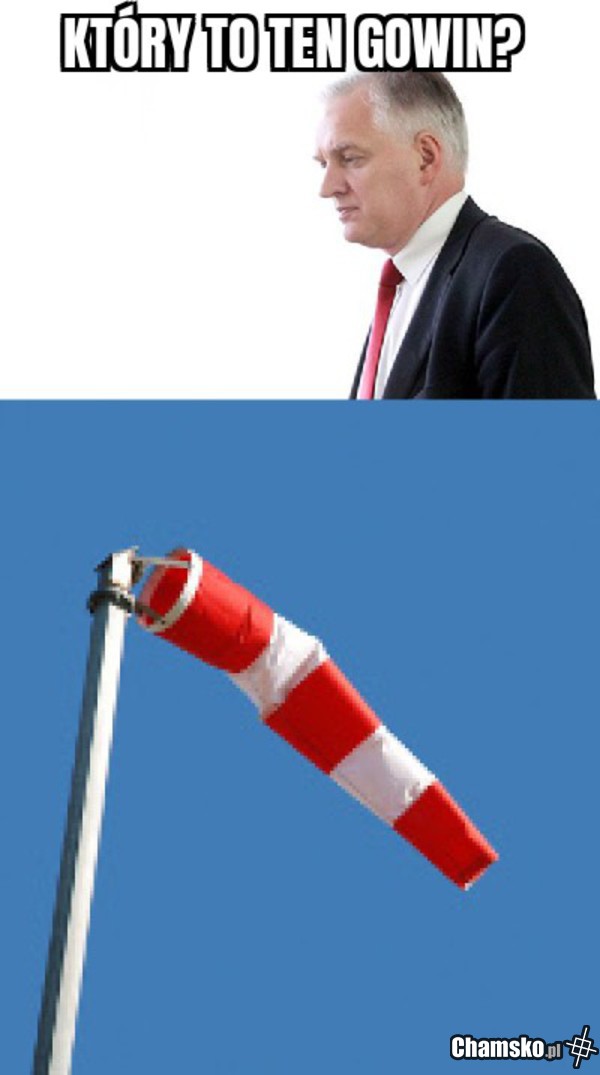 Różnice?