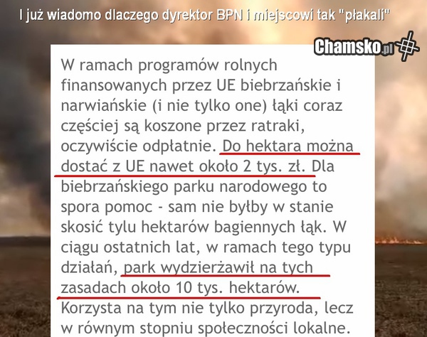 Krokodyle łzy.