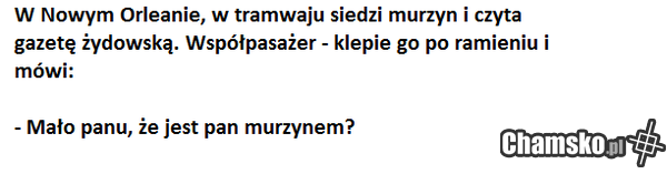 co gorsze? murzyn czy żyd?