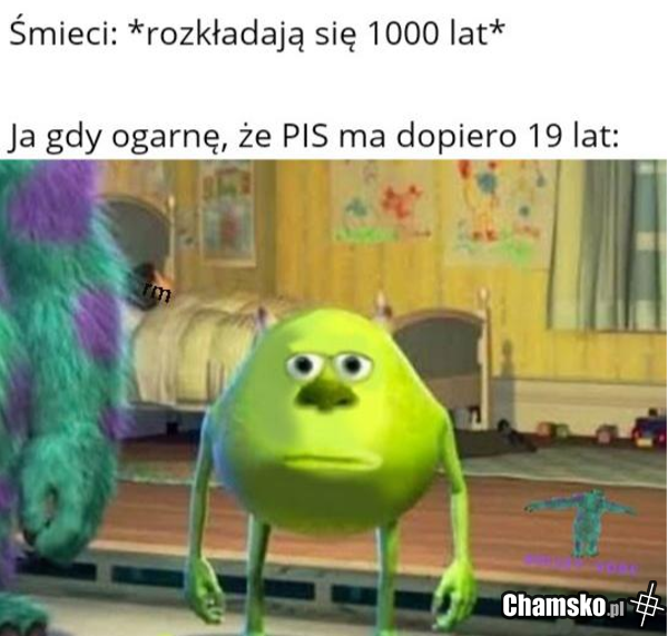 Rozkład śmieci